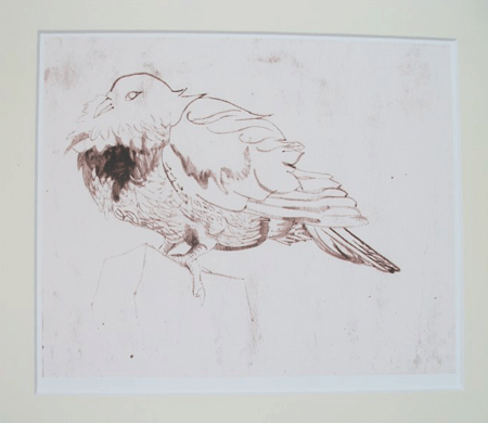 Pigeon on the bedpost Skomer - ink wash