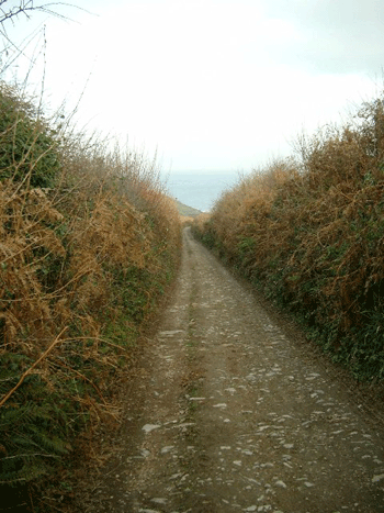 The lane to Mansands where Pop and Janice wandered